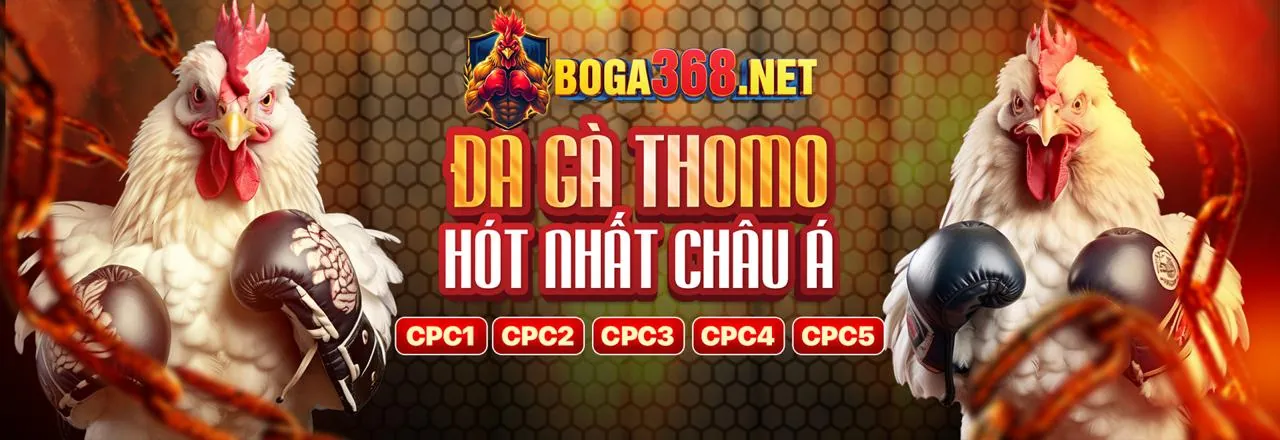 Đá gà trực tuyến qh8888 nhà cái